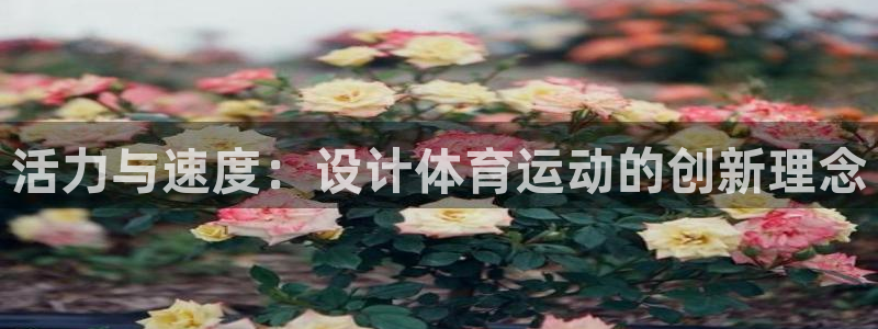 活力与速度：设计体育运动的创新理念