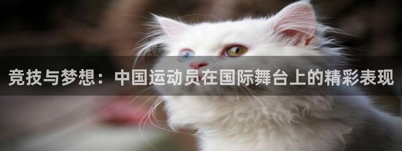 竞技与梦想：中国运动员在国际舞台上的精彩表现
