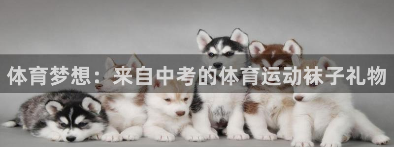 体育梦想：来自中考的体育运动袜子礼物