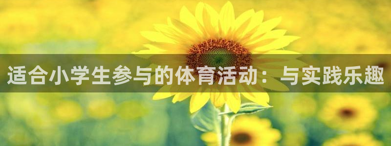 适合小学生参与的体育活动：与实践乐趣