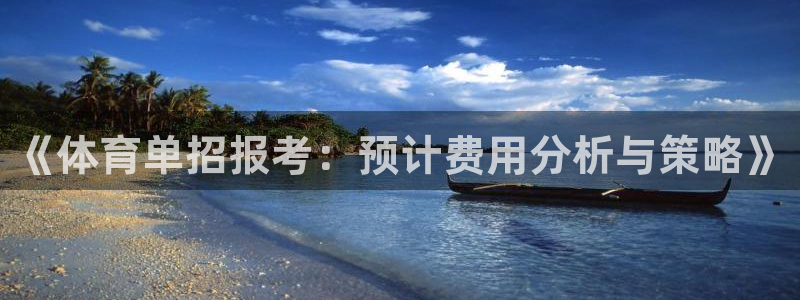 《体育单招报考：预计费用分析与策略》